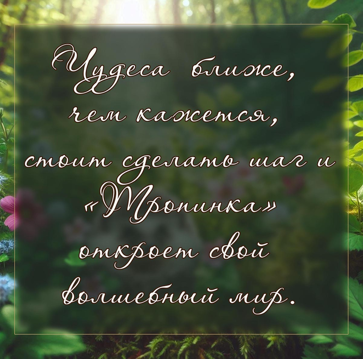 Чудеса вокруг нас